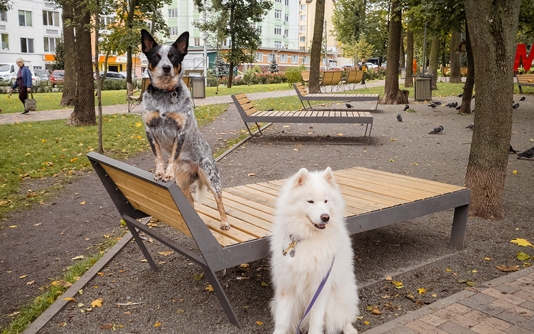 Faire garder son animal dans les grandes villes : Trouver des Petsitters proches de chez vous !
