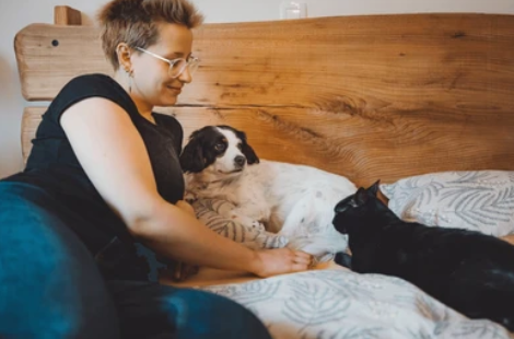 Devenir famille d’accueil pour animaux : offrez amour et sécurité partout en France 🐾